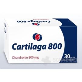 Cartilaga 800