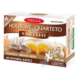 TEREZIA HUBOVÉ QUARTETO s REISHI 60