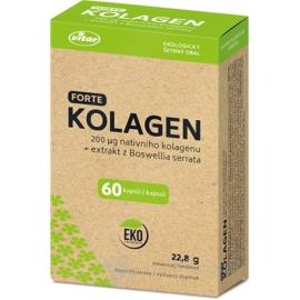 VITAR KOLAGEN FORTE + extrakt z Boswellia serrata