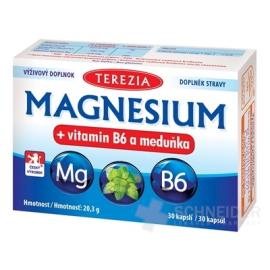 TEREZIA MAGNESIUM + vitamin B6 and lemon balm