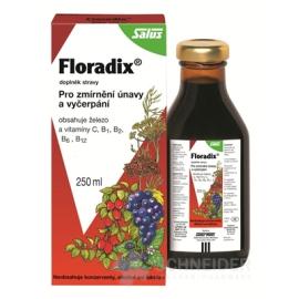 Salus Floradix 250 ml