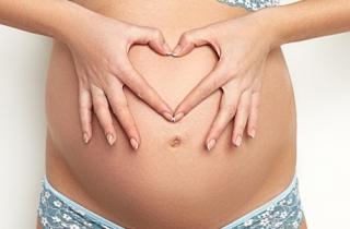 The first manifestations of pregnancy