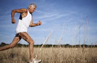 Healthy joints and bones until old age