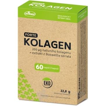 VITAR KOLAGEN FORTE + extrakt z Boswellia serrata