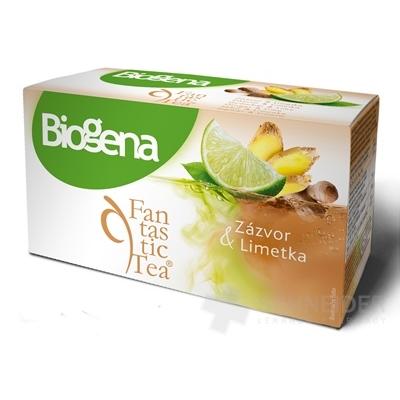 Biogena Fantastic Tea Zázvor & Limetka