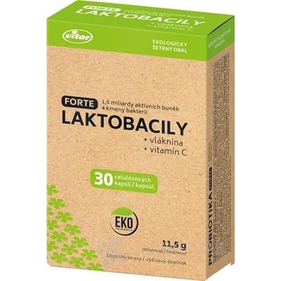 VITAR LACTOBACILS FORTE + fiber + vitamin C