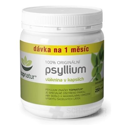 heating PSYLLIUM fiber