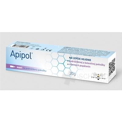 Apipol