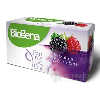 Biogena Fantastic Tea Raspberry & Blackberry