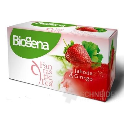 Biogena Fantastic Tea Jahoda & Ginkgo