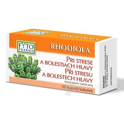 FYTO RHODIOLA