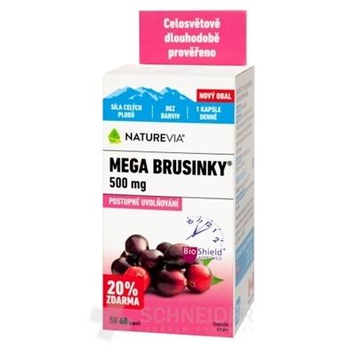 SWISS NATUREVIA MEGA BRUSNICE 500 mg