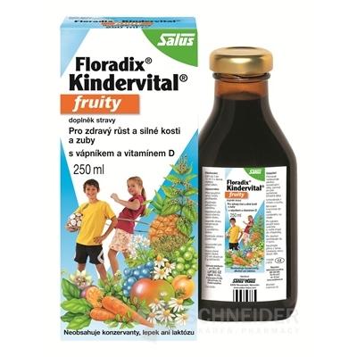 SALUS Floradix Kindervital fruity