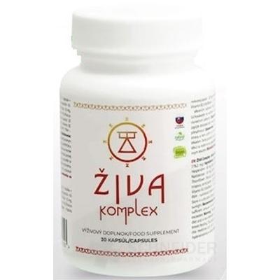 ŽIVA komplex