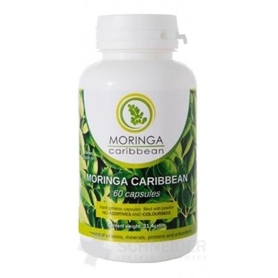 MORINGA Moringa Caribbean (standard)