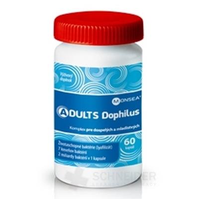 ADULTS DOPHILUS