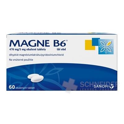 MAGNE-B6