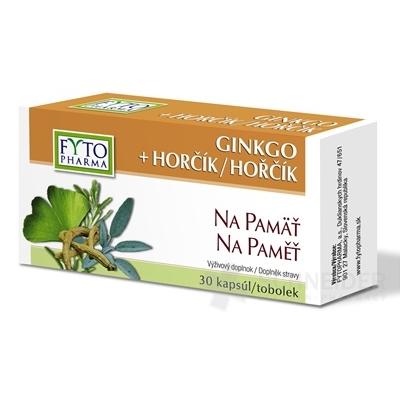 FYTO GINKGO + HORČÍK Na pamäť