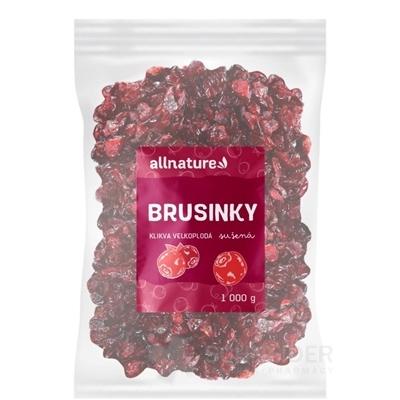 Allnature BRUSNICE sušené