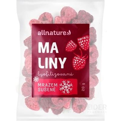 Allnature MALINY MRAZOM SUŠENÉ