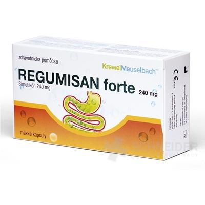 REGUMISAN forte 240 mg