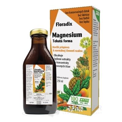 SALUS Floradix Magnesium