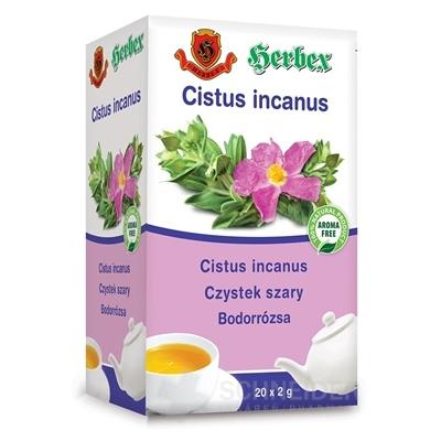 HERBEX CISTUS incanus