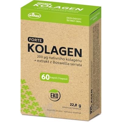 VITAR KOLAGEN FORTE + extrakt z Boswellia serrata