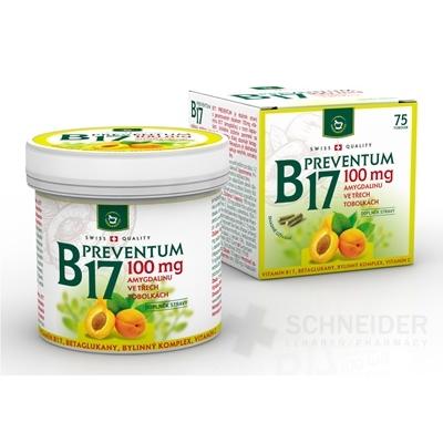 B17 Preventum