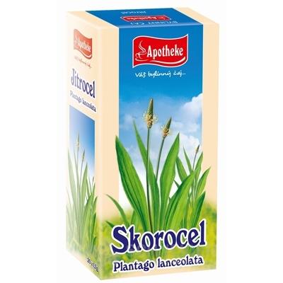 APOTHEKE Skorocel kopijovitý