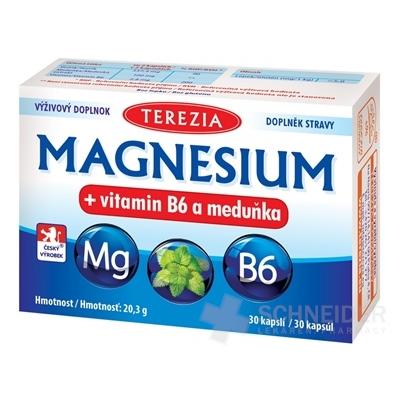 TEREZIA MAGNESIUM + vitamin B6 a meduňka