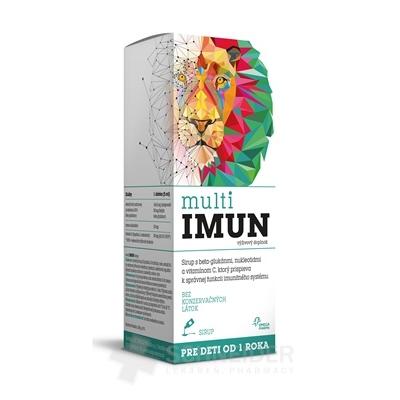 MultiIMUN SIRUP