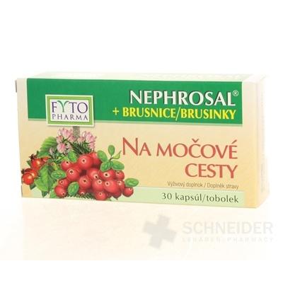 FYTO NEPHROSAL + BRUSNICE na močové cesty