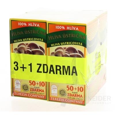 Hliva ustricovitá AKCIA 3+1 ZADARMO