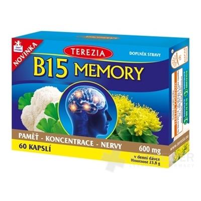 B15 MEMORY