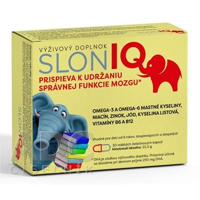 SlonIQ 30 pcs