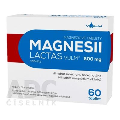 Magnesia Lactas VULM 500 mg 60 tablets.